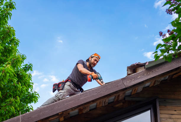 Best Gutter Installation and Repair  in Exandria, AL